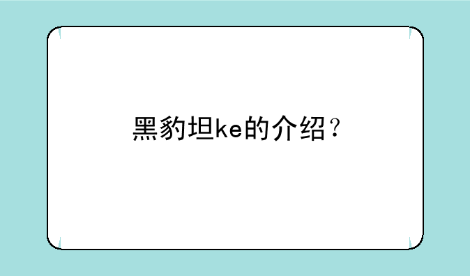 黑豹坦ke的介绍？