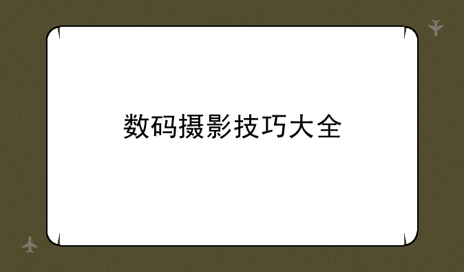 数码摄影技巧大全