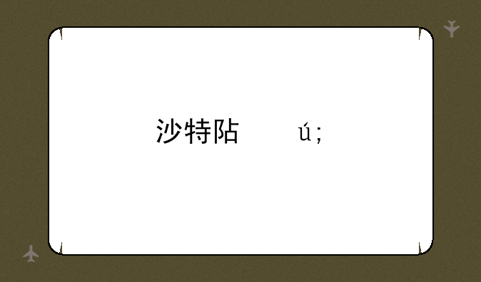 沙特阿美股票代码