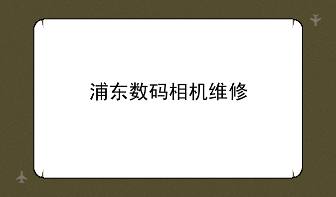 浦东数码相机维修