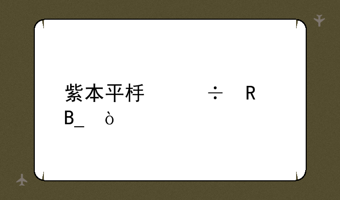 紫本平板好用吗？