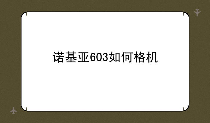 诺基亚603如何格机