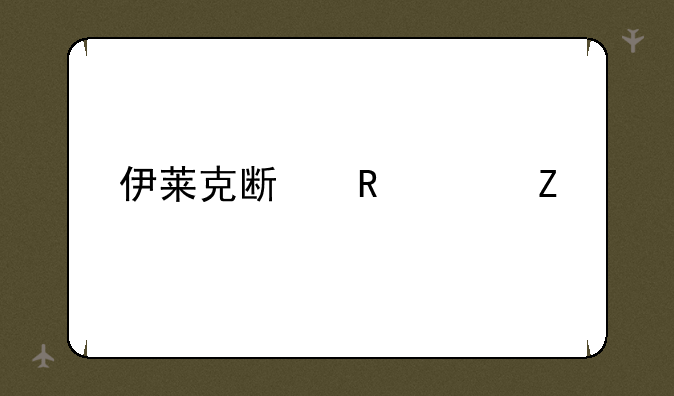 伊莱克斯电熨斗