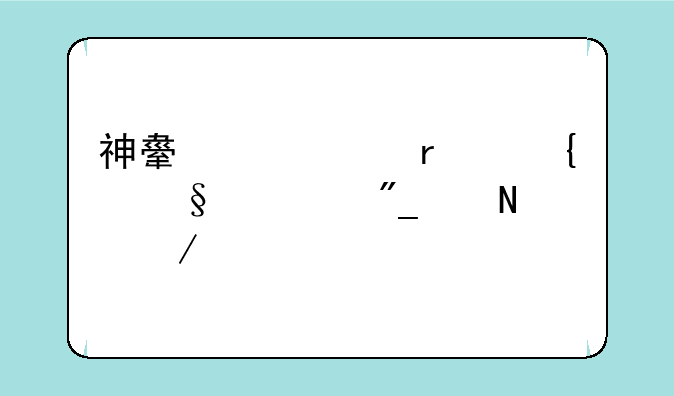 神舟超级本飞天系列产品介绍