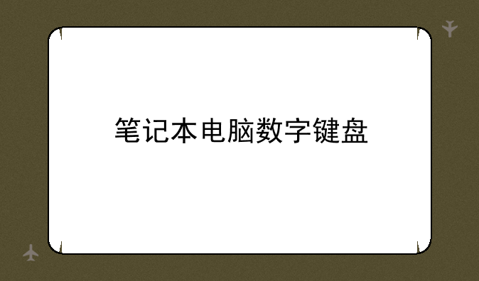 笔记本电脑数字键盘