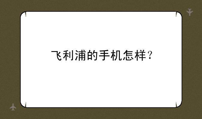 飞利浦的手机怎样？