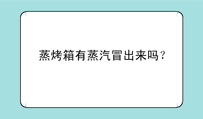蒸烤箱有蒸汽冒出来吗？