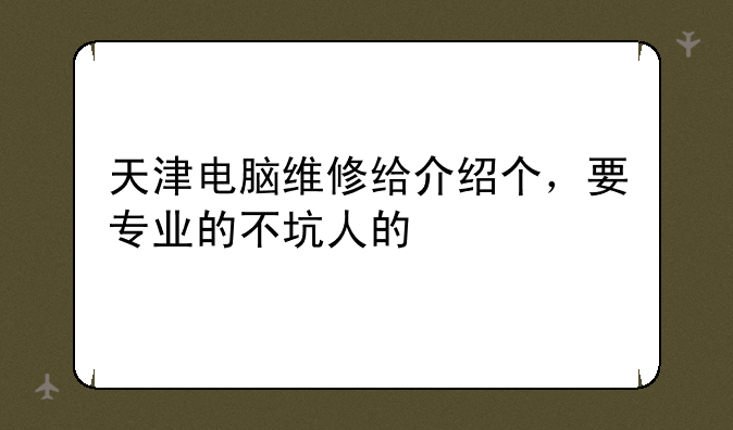 天津电脑维修给介绍个，要专业的不坑人的