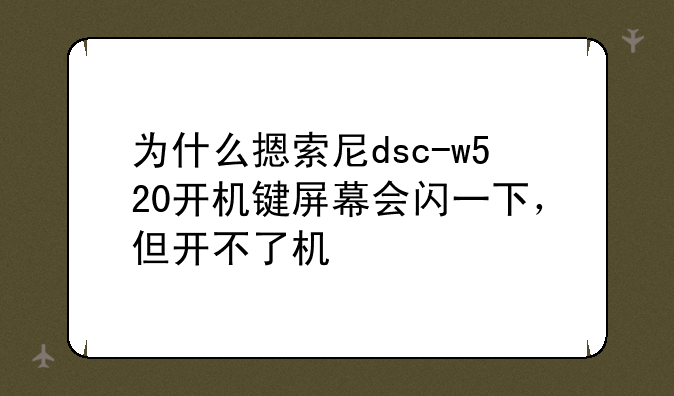 为什么摁索尼dsc-w520开机键屏幕会闪一下，但开不了机