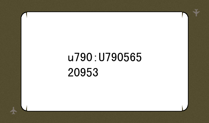 u790:U79056520953