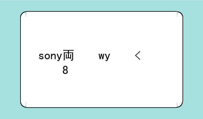 sony专卖~sony专卖店地址