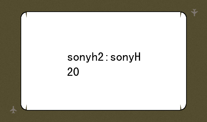 sonyh2:sonyH20