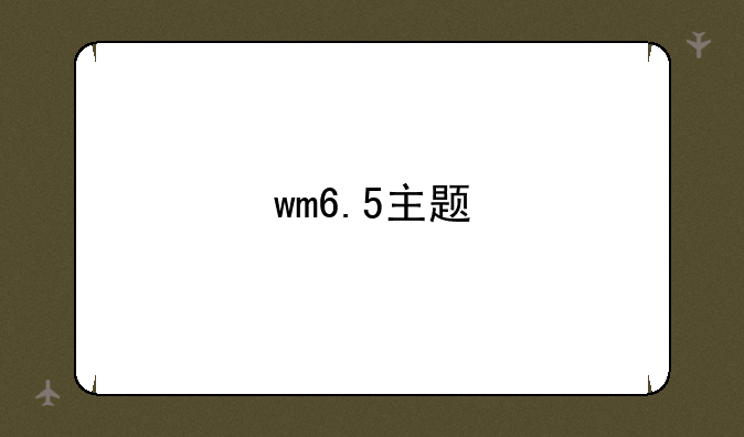 wm6.5主题