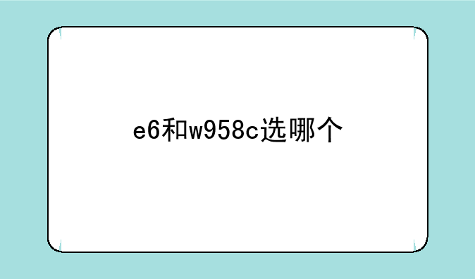 e6和w958c选哪个