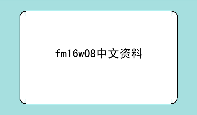 fm16w08中文资料
