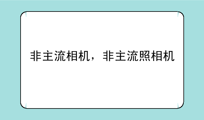 非主流相机，非主流照相机