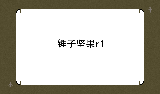 锤子坚果r1