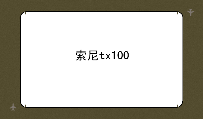 索尼tx100