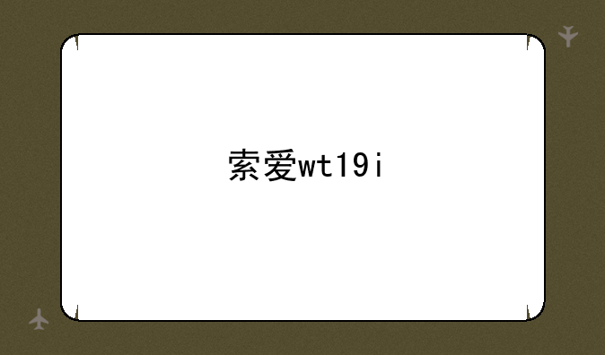 索爱wt19i