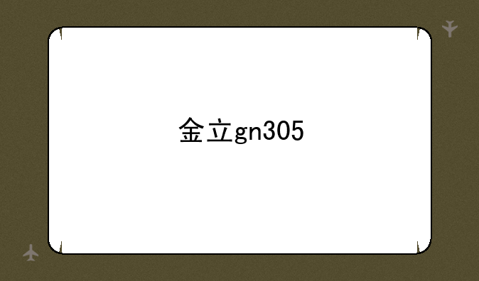 金立gn305