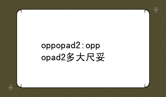 oppopad2:oppopad2多大尺寸