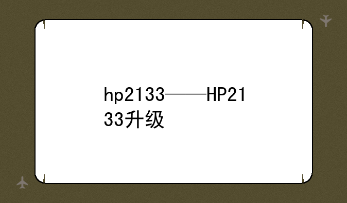 hp2133——HP2133升级
