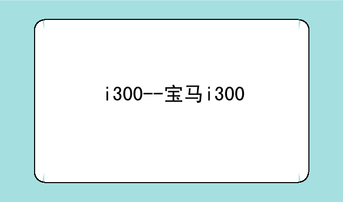 i300--宝马i300